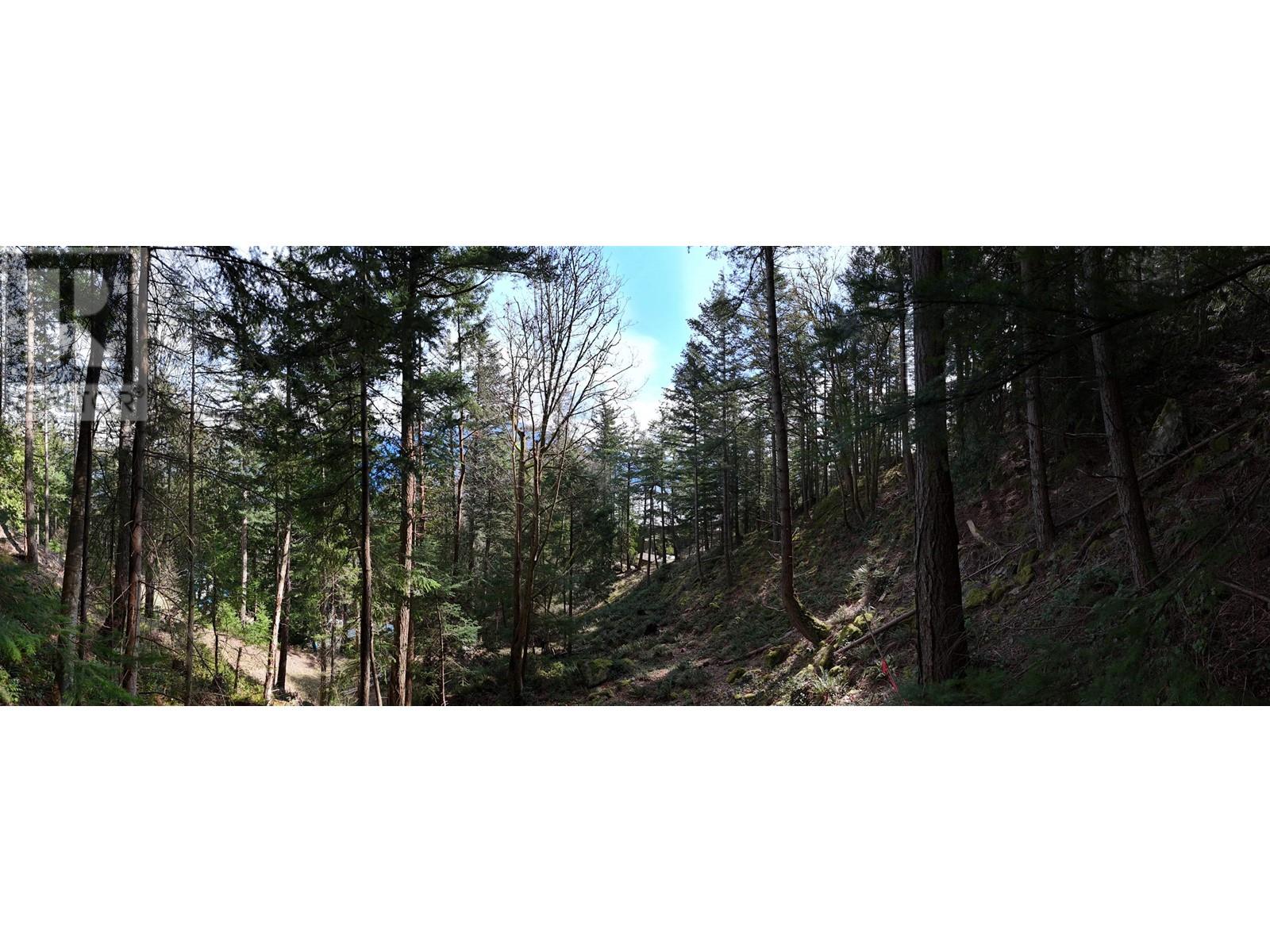 1588 Eagle Cliff Road, Bowen Island, British Columbia  V0N 1G1 - Photo 6 - R2993982