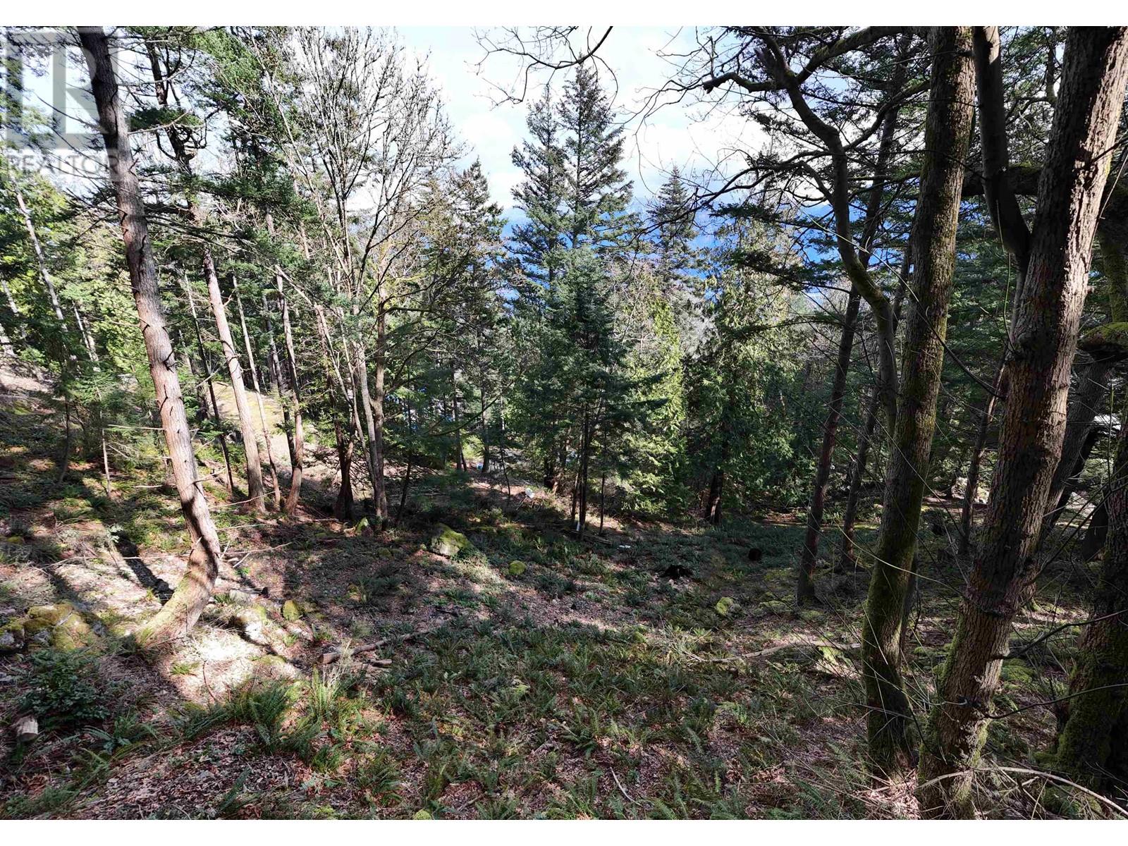 1588 Eagle Cliff Road, Bowen Island, British Columbia  V0N 1G1 - Photo 8 - R2993982