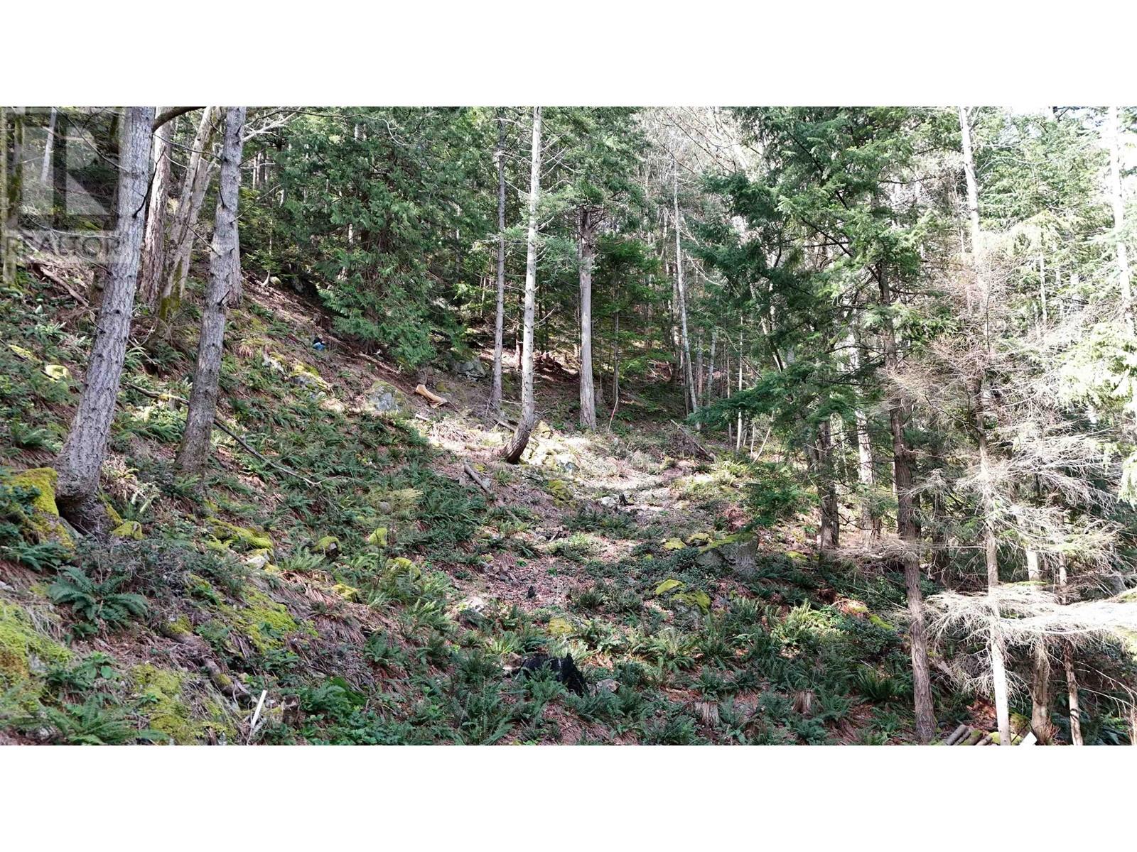 1588 Eagle Cliff Road, Bowen Island, British Columbia  V0N 1G1 - Photo 9 - R2993982