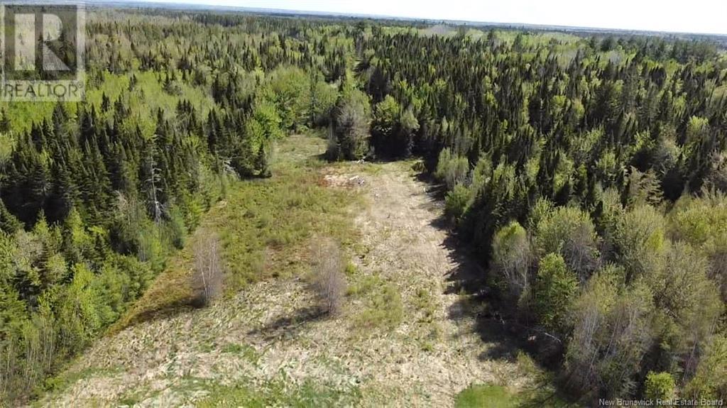6762 Route 10, Upper Salmon Creek, New Brunswick  E4A 1J2 - Photo 4 - NB116990