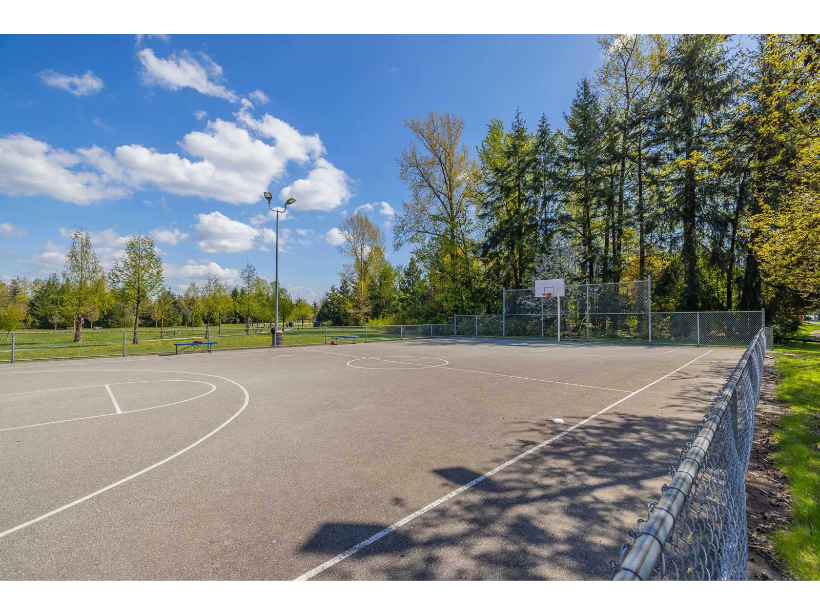 430 15380 102a Avenue, Surrey, British Columbia  V3R 0B3 - Photo 36 - R2993986