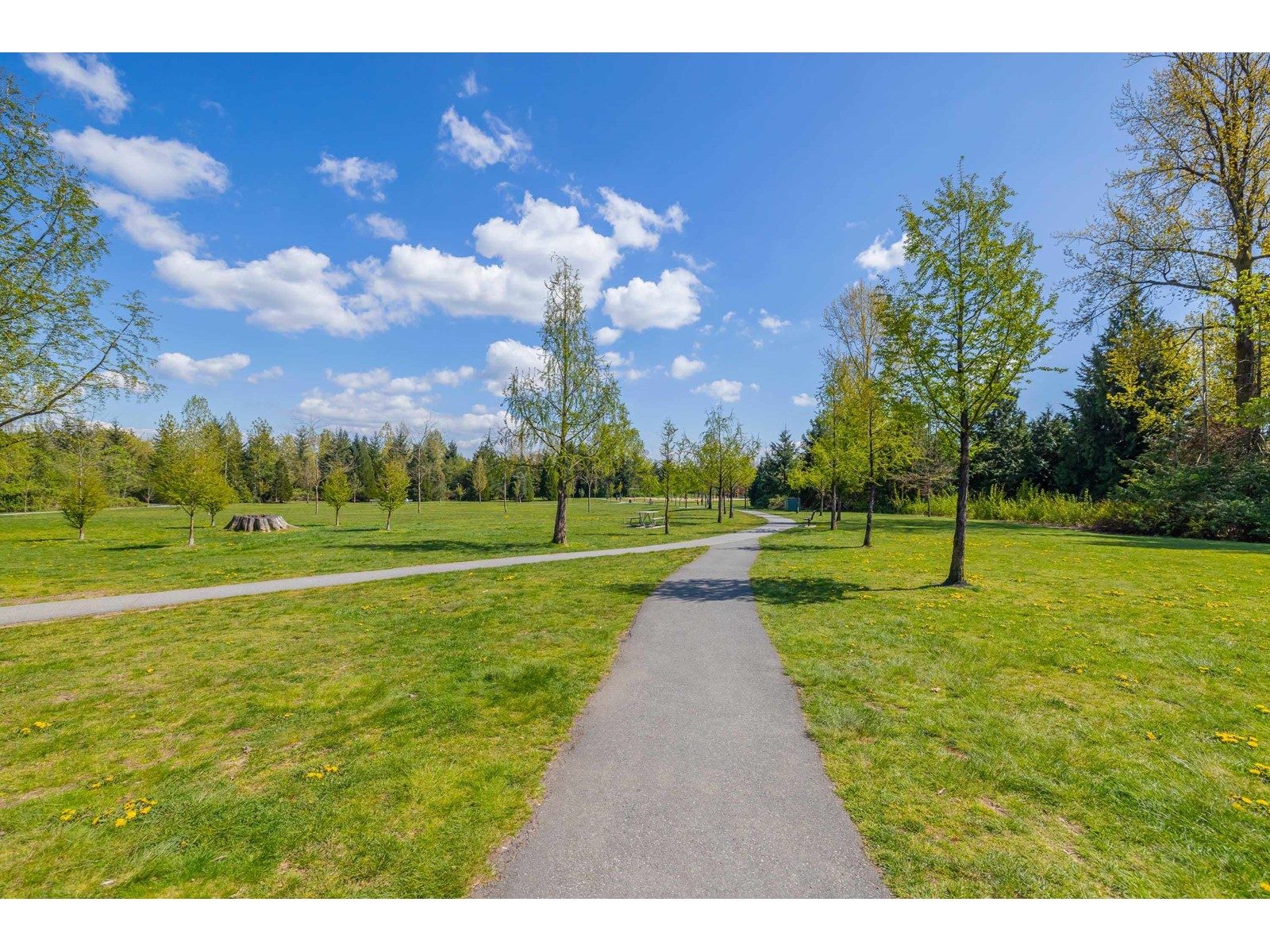 430 15380 102a Avenue, Surrey, British Columbia  V3R 0B3 - Photo 37 - R2993986