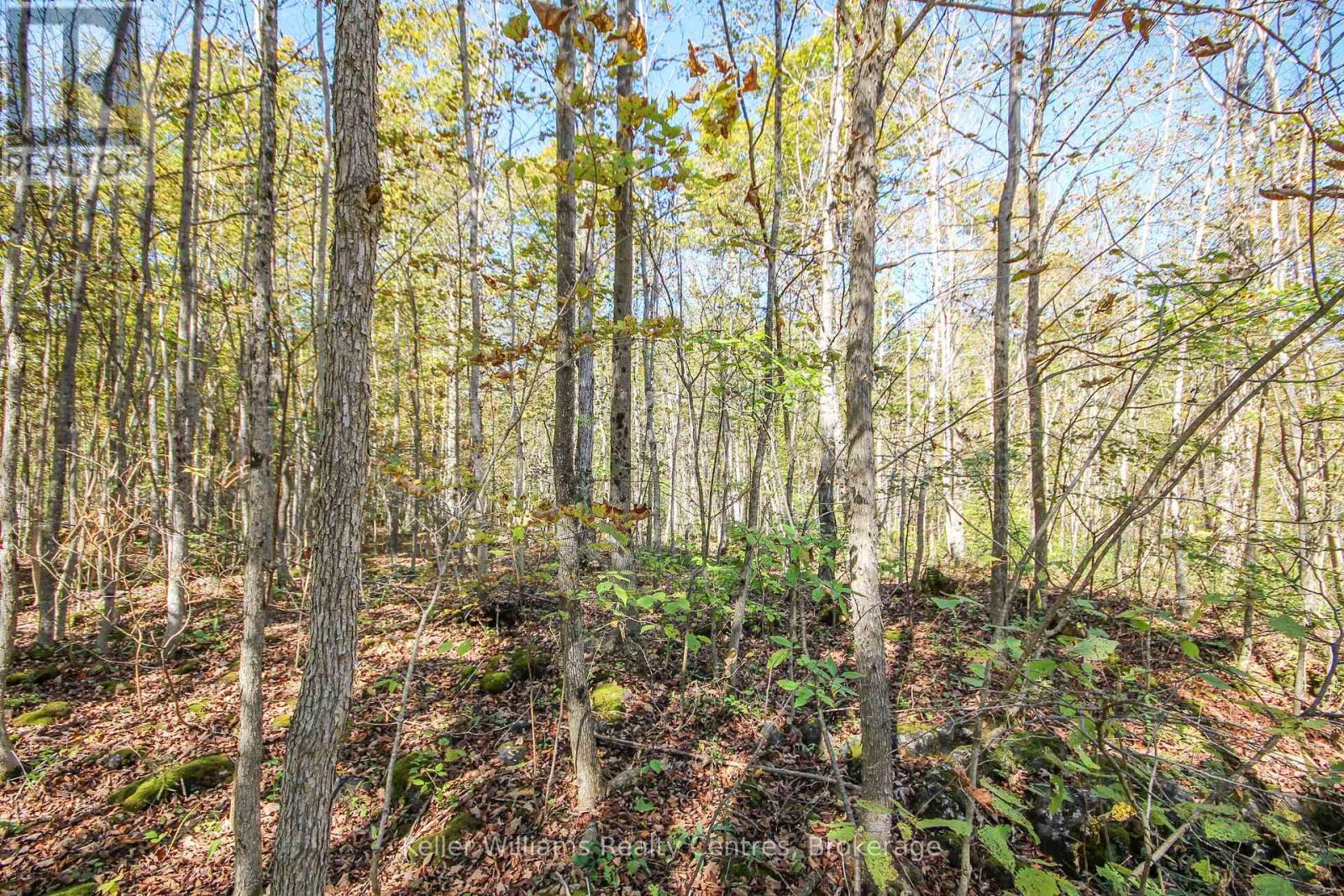 1019 Bruce Road 9, South Bruce Peninsula, Ontario  N0H 2T0 - Photo 34 - X12102120