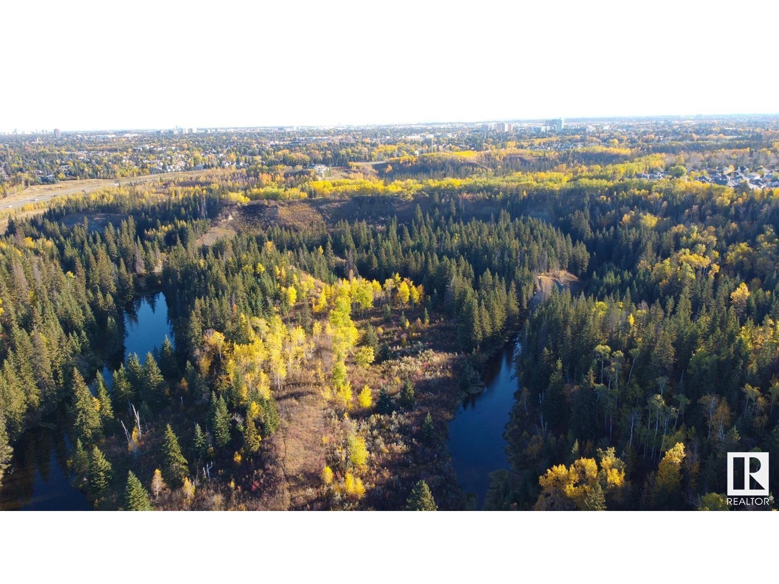 7506 May Cm Nw, Edmonton, Alberta  T6R 0G9 - Photo 37 - E4425925