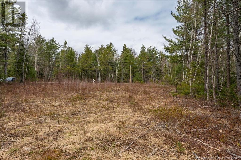 Lot Harper Settlement Road, Harper Settlement, New Brunswick  E4Z 1E6 - Photo 10 - NB113750