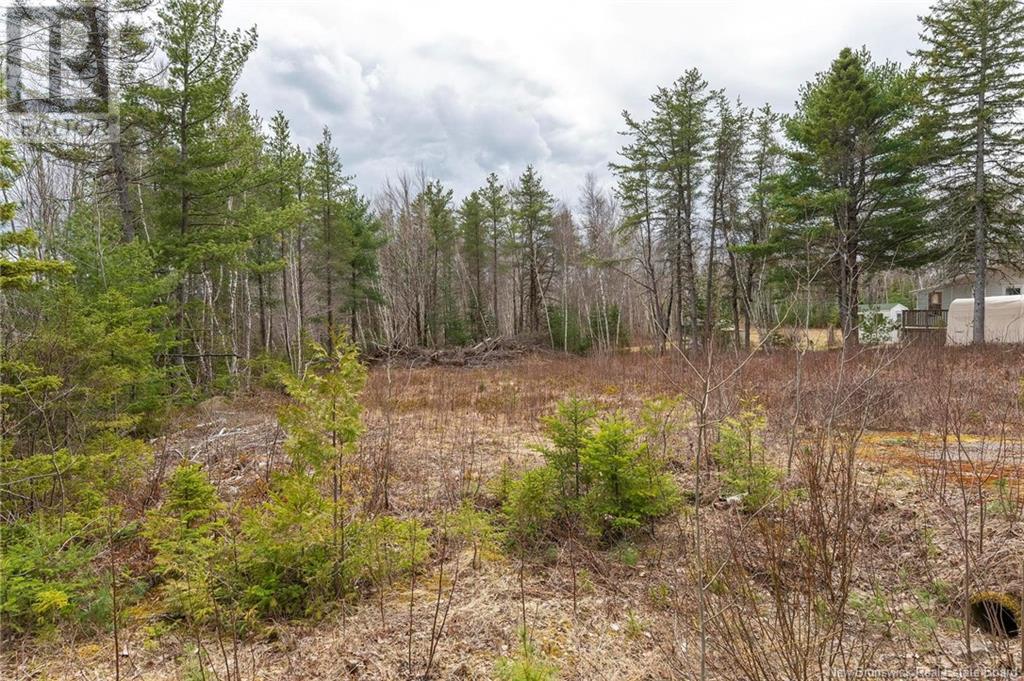 Lot Harper Settlement Road, Harper Settlement, New Brunswick  E4Z 1E6 - Photo 5 - NB113750