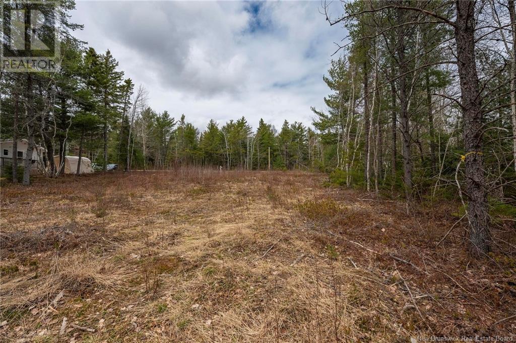 Lot Harper Settlement Road, Harper Settlement, New Brunswick  E4Z 1E6 - Photo 9 - NB113750