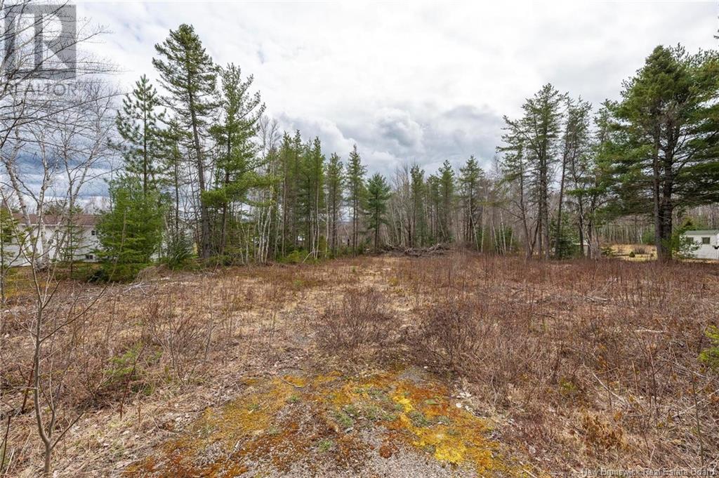 Lot Harper Settlement Road, Harper Settlement, New Brunswick  E4Z 1E6 - Photo 6 - NB113750