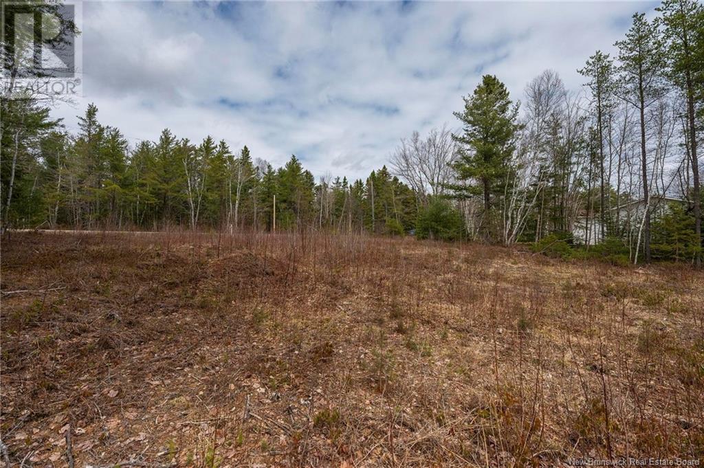 Lot Harper Settlement Road, Harper Settlement, New Brunswick  E4Z 1E6 - Photo 15 - NB113750