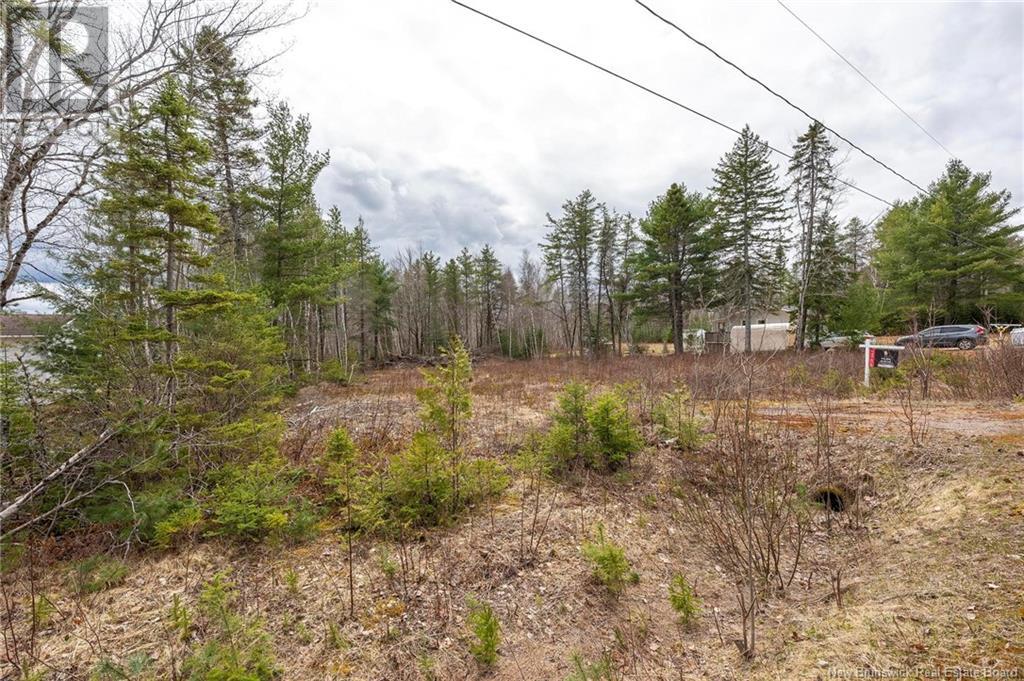 Lot Harper Settlement Road, Harper Settlement, New Brunswick  E4Z 1E6 - Photo 3 - NB113750