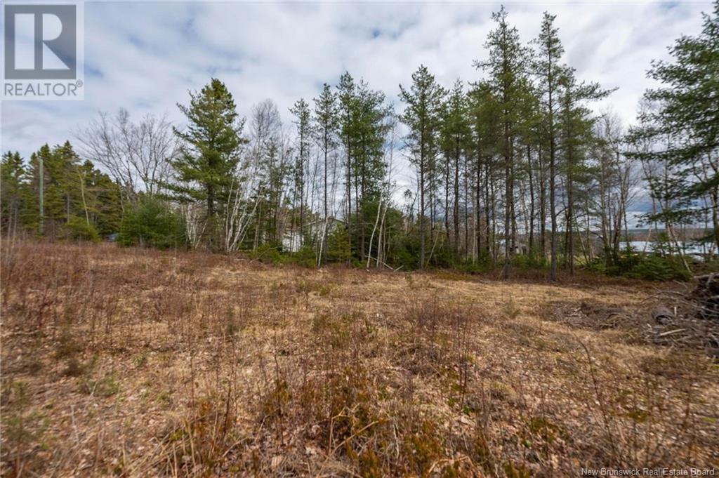 Lot Harper Settlement Road, Harper Settlement, New Brunswick  E4Z 1E6 - Photo 16 - NB113750