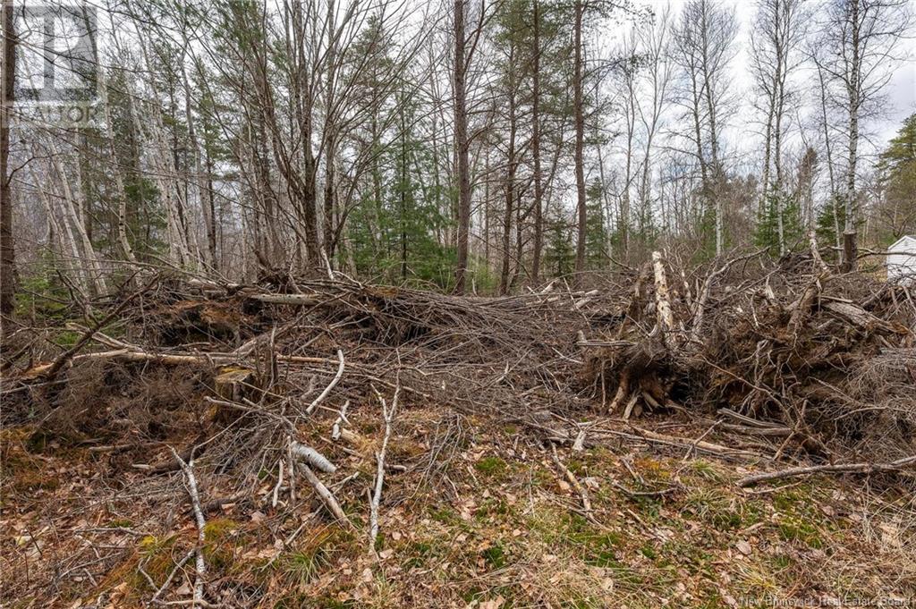 Lot Harper Settlement Road, Harper Settlement, New Brunswick  E4Z 1E6 - Photo 8 - NB113750