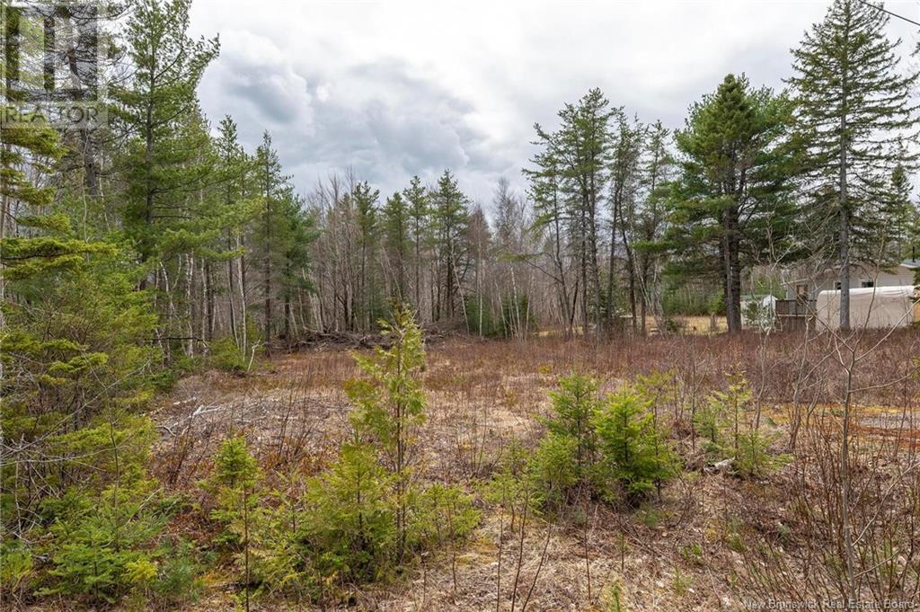 Lot Harper Settlement Road, Harper Settlement, New Brunswick  E4Z 1E6 - Photo 4 - NB113750
