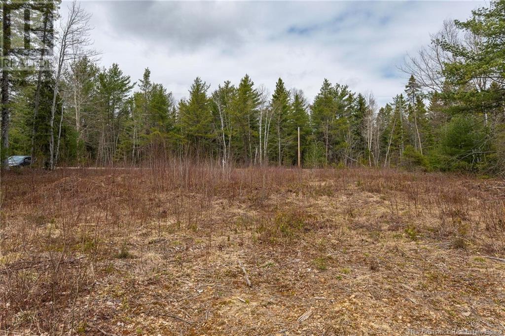 Lot Harper Settlement Road, Harper Settlement, New Brunswick  E4Z 1E6 - Photo 12 - NB113750