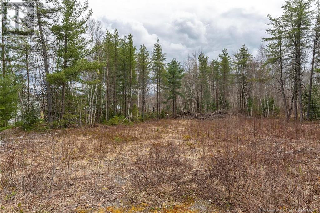 Lot Harper Settlement Road, Harper Settlement, New Brunswick  E4Z 1E6 - Photo 7 - NB113750