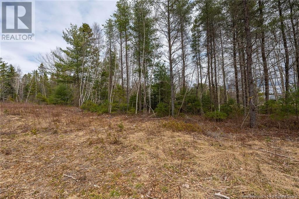 Lot Harper Settlement Road, Harper Settlement, New Brunswick  E4Z 1E6 - Photo 13 - NB113750