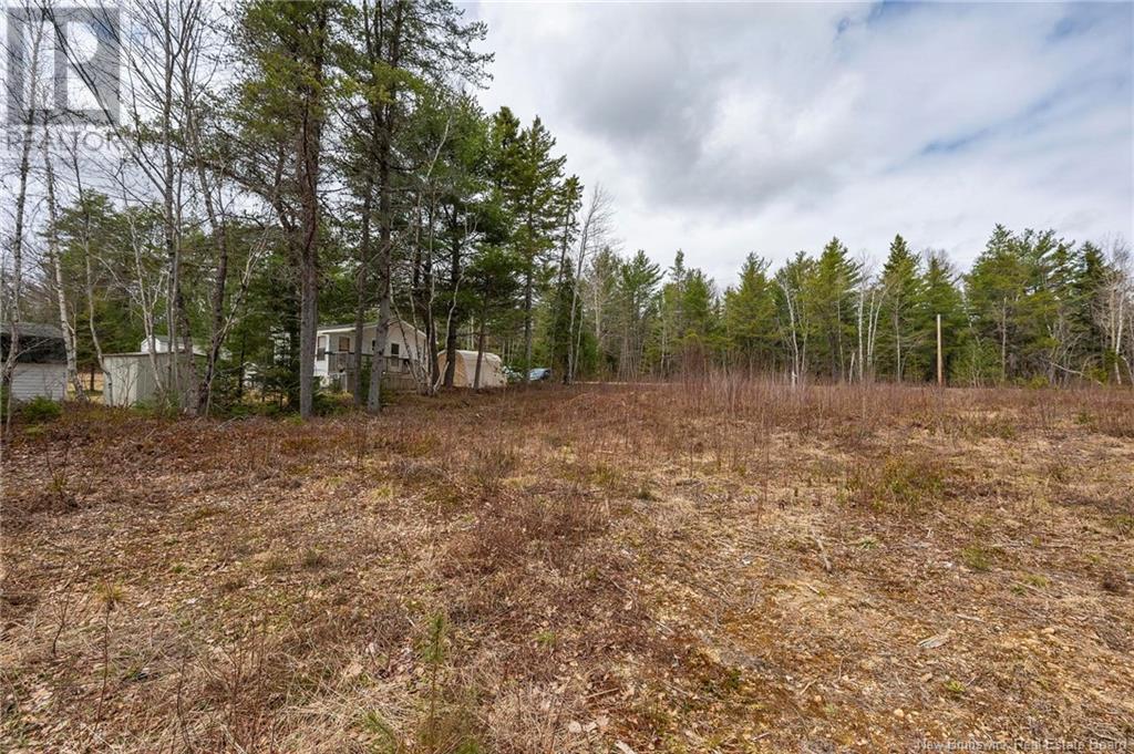 Lot Harper Settlement Road, Harper Settlement, New Brunswick  E4Z 1E6 - Photo 14 - NB113750