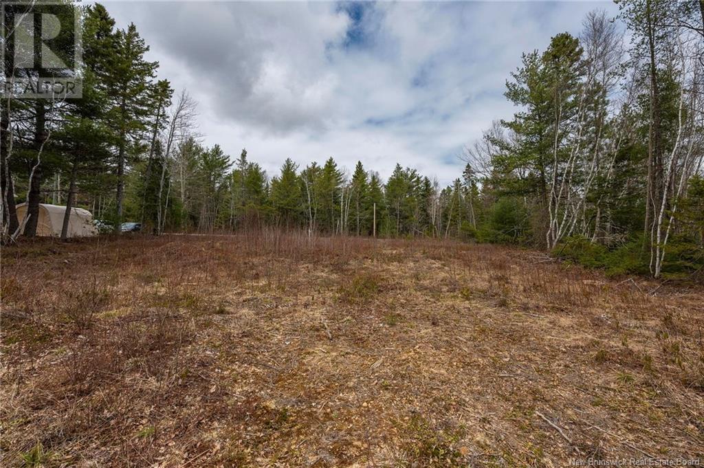 Lot Harper Settlement Road, Harper Settlement, New Brunswick  E4Z 1E6 - Photo 11 - NB113750