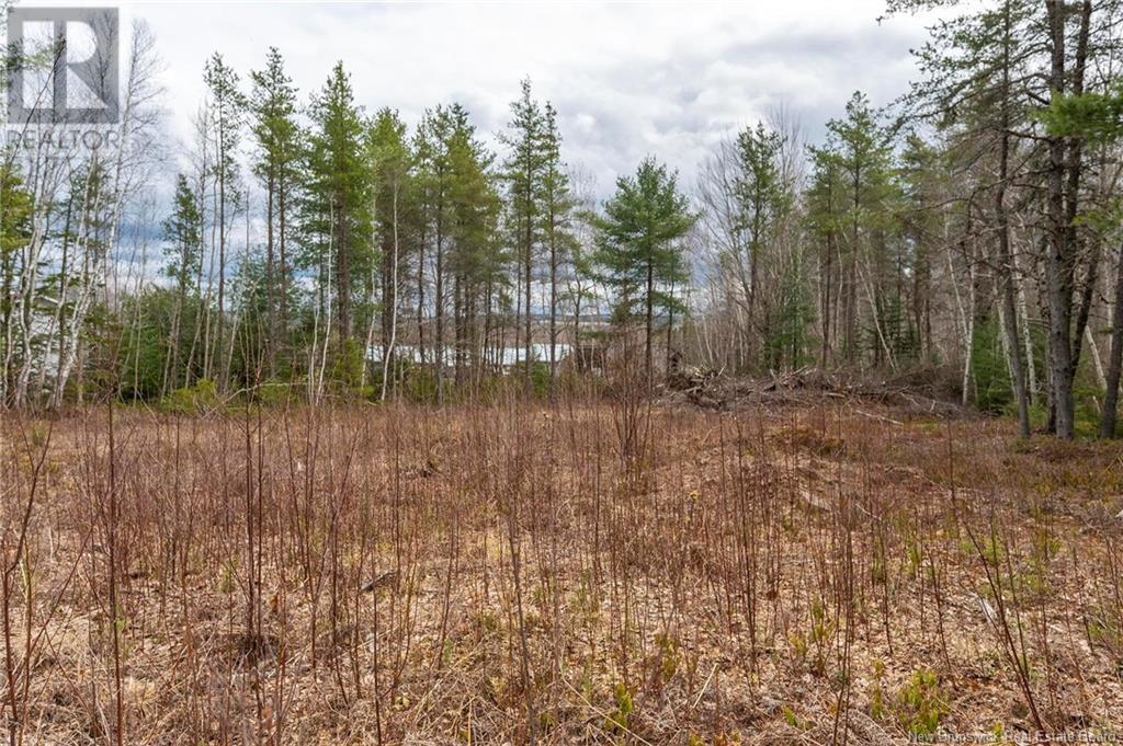 Lot Harper Settlement Road, Harper Settlement, New Brunswick  E4Z 1E6 - Photo 21 - NB113750