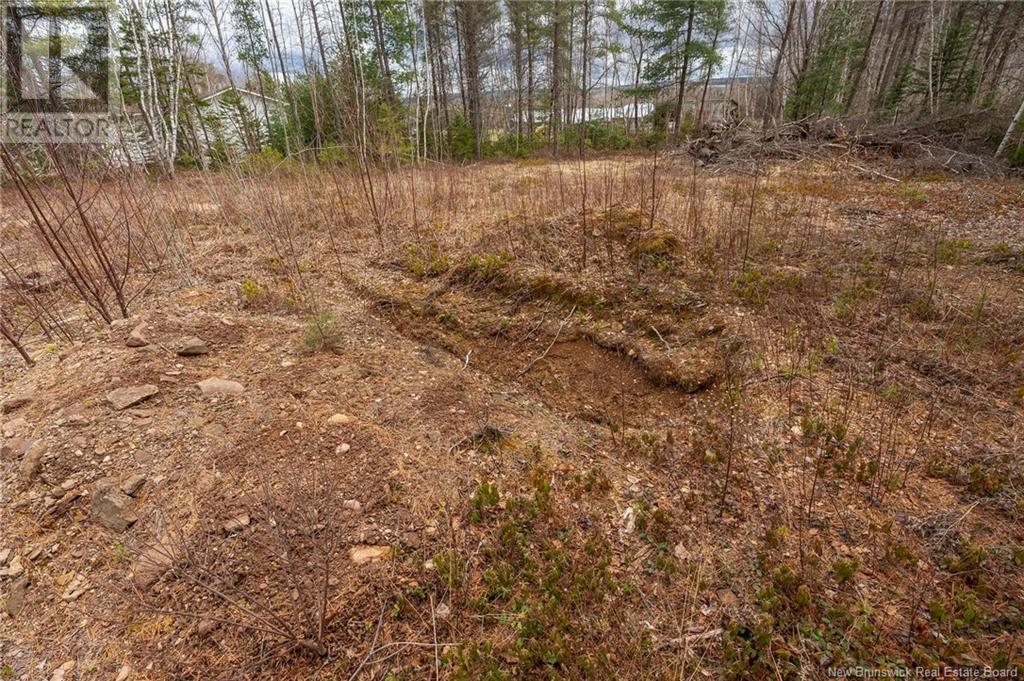 Lot Harper Settlement Road, Harper Settlement, New Brunswick  E4Z 1E6 - Photo 18 - NB113750