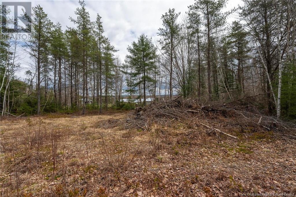 Lot Harper Settlement Road, Harper Settlement, New Brunswick  E4Z 1E6 - Photo 17 - NB113750