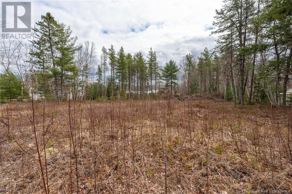 Lot Harper Settlement Road, Harper Settlement, New Brunswick  E4Z 1E6 - Photo 20 - NB113750