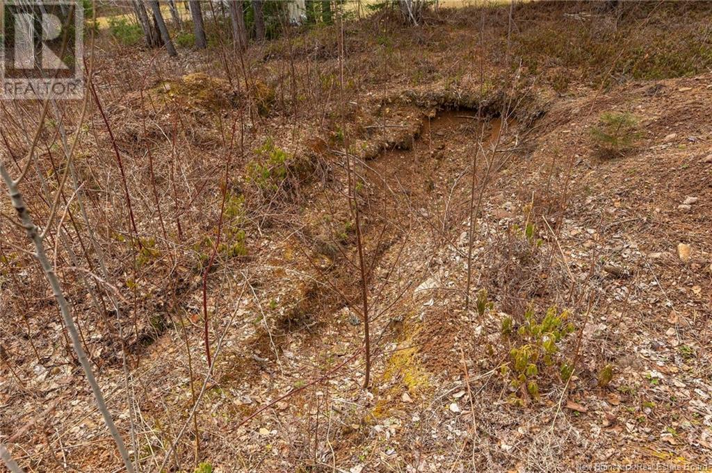 Lot Harper Settlement Road, Harper Settlement, New Brunswick  E4Z 1E6 - Photo 19 - NB113750