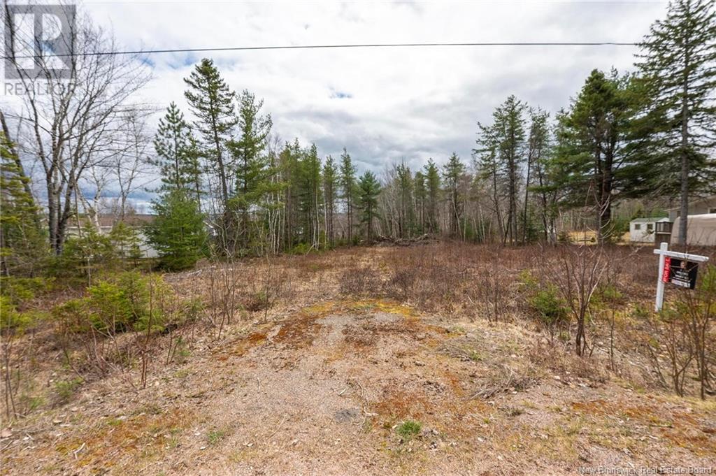 Lot Harper Settlement Road, Harper Settlement, New Brunswick  E4Z 1E6 - Photo 22 - NB113750
