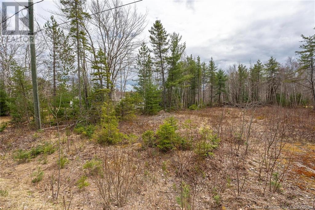 Lot Harper Settlement Road, Harper Settlement, New Brunswick  E4Z 1E6 - Photo 29 - NB113750