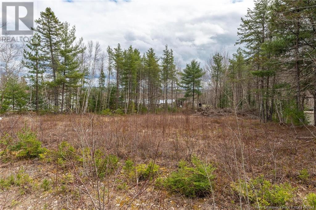Lot Harper Settlement Road, Harper Settlement, New Brunswick  E4Z 1E6 - Photo 26 - NB113750