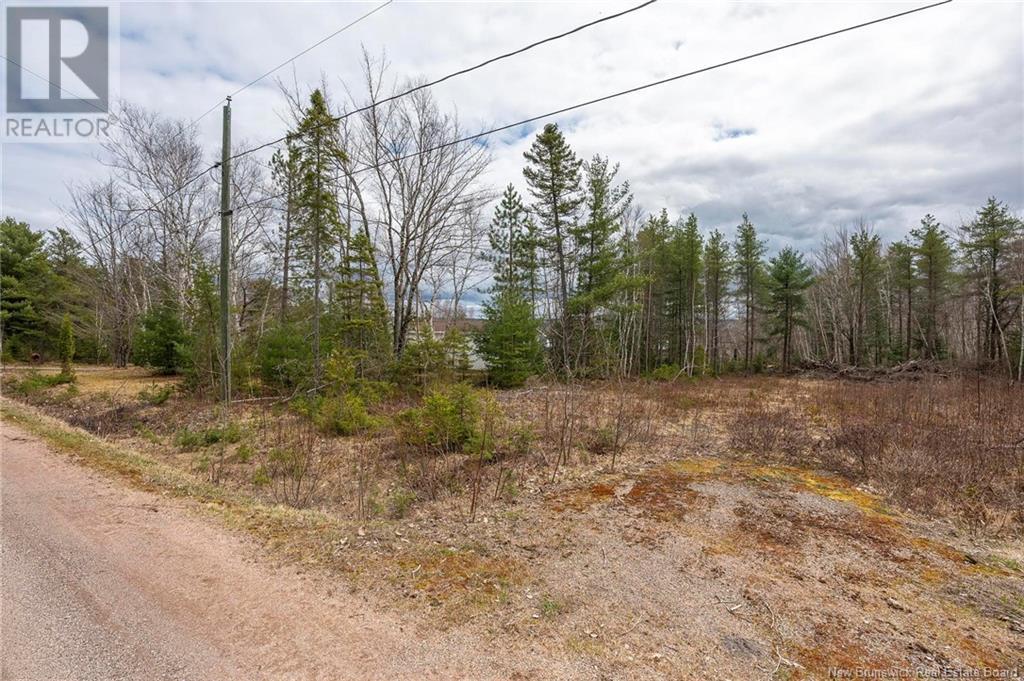 Lot Harper Settlement Road, Harper Settlement, New Brunswick  E4Z 1E6 - Photo 24 - NB113750