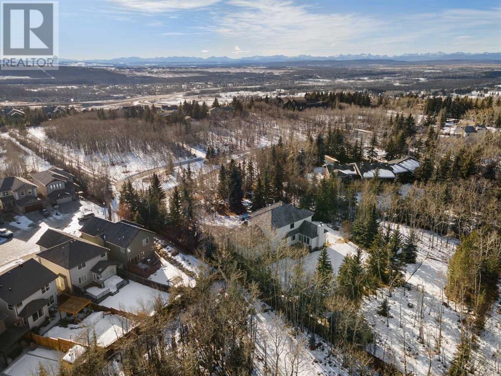 Property at 100 Anatapi Lane SW image 3