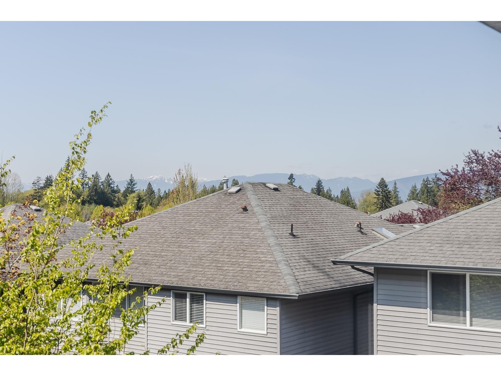 8977 217 Street, Langley, British Columbia  V1M 4C7 - Photo 27 - R2994110