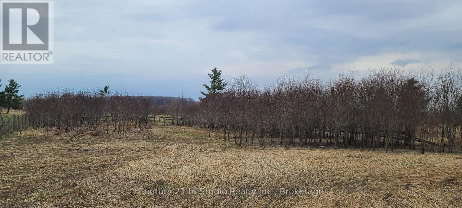 225697 Southgate Rd 22 Road, Southgate, Ontario  N0C 1B0 - Photo 3 - X12102444