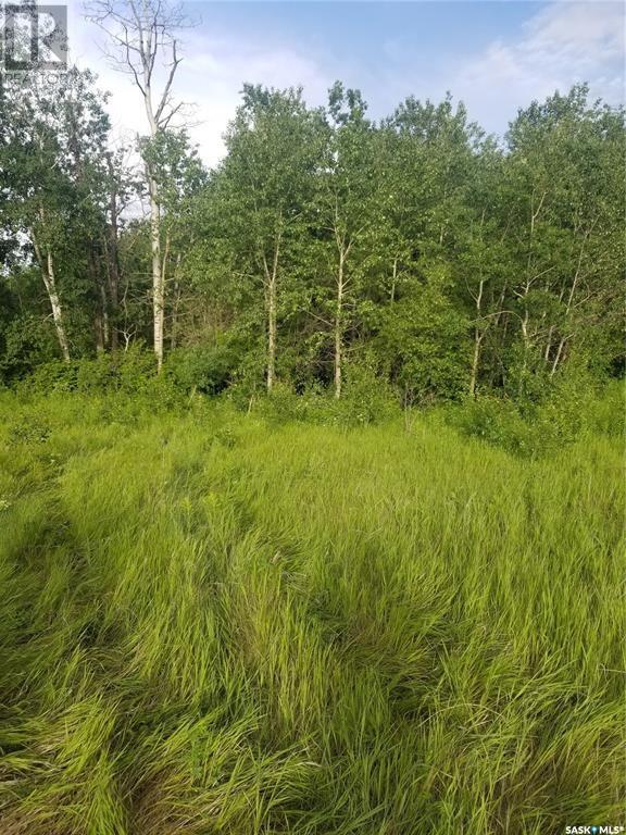 Hurl Land, Canwood Rm No. 494, Saskatchewan