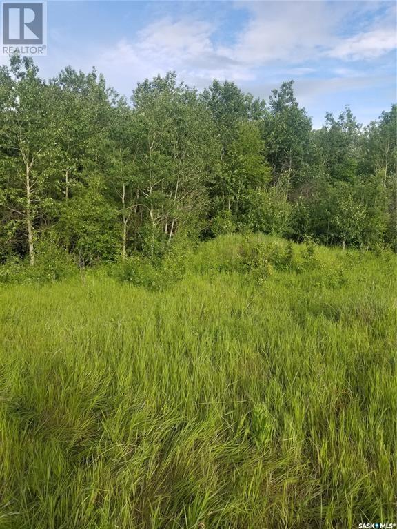 Hurl Land, Canwood Rm No. 494, Saskatchewan  S0J 2G0 - Photo 2 - SK003608