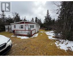 38 Horsechops Road, Cape Broyle, Newfoundland & Labrador