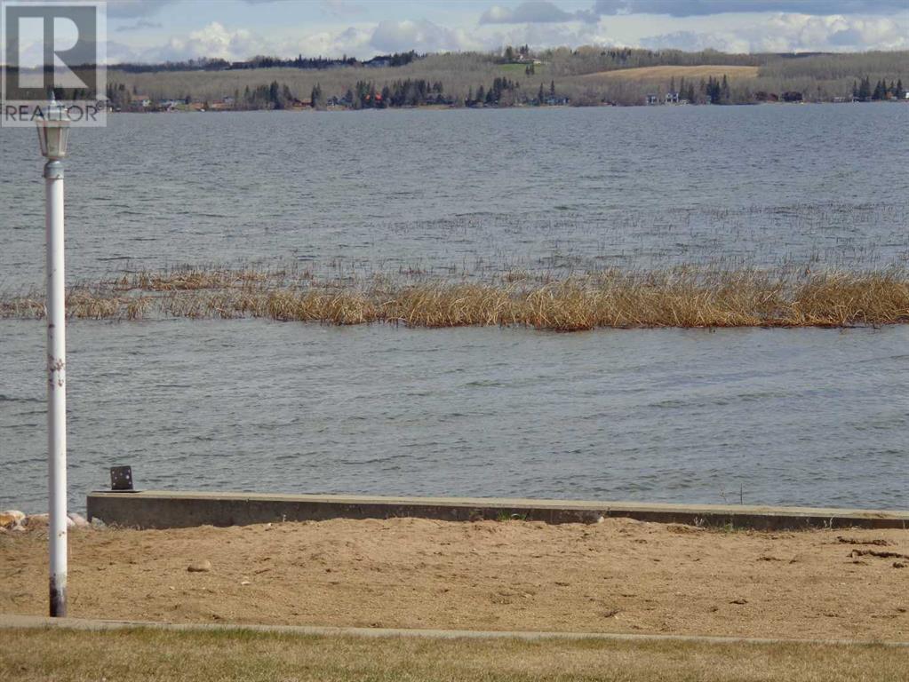 3 Rustic Road, Norglenwold, Alberta  T4S 1S5 - Photo 10 - A2213930