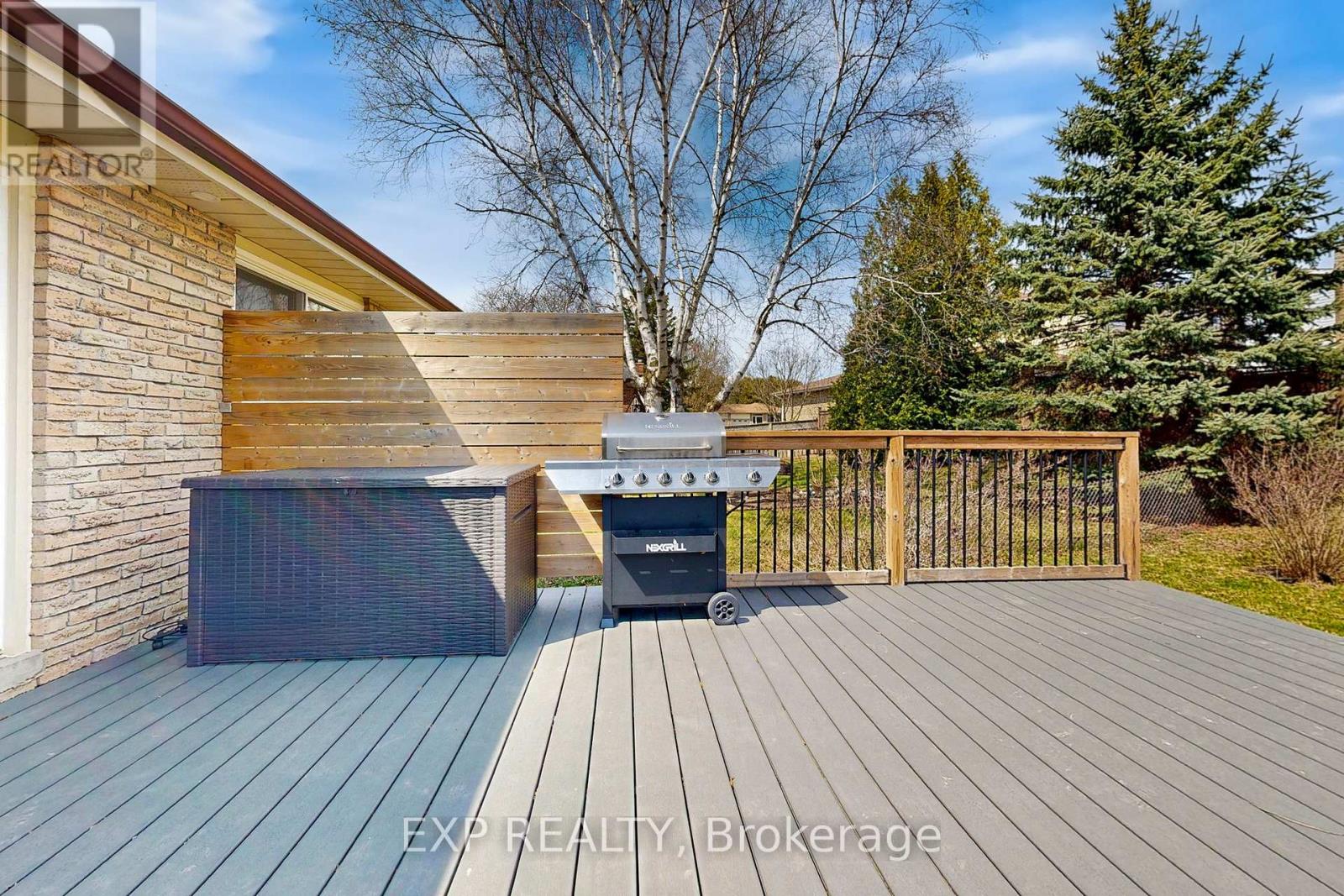 207 Alexander Road, Newmarket, Ontario  L3Y 5P2 - Photo 32 - N12102868