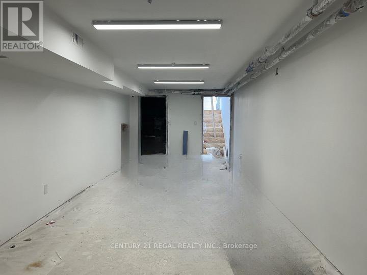 LOWER LEVEL - 1171 DUNDAS STREET W, Toronto, Ontario