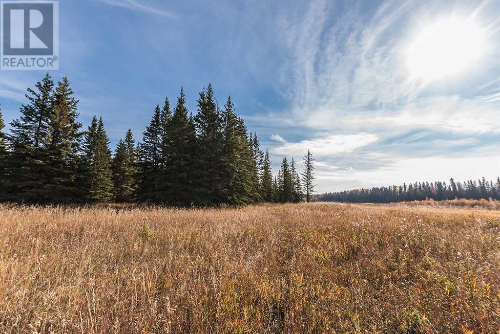 Range Road 12, Rural Red Deer County, Alberta  T4G 0M9 - Photo 13 - A2213739