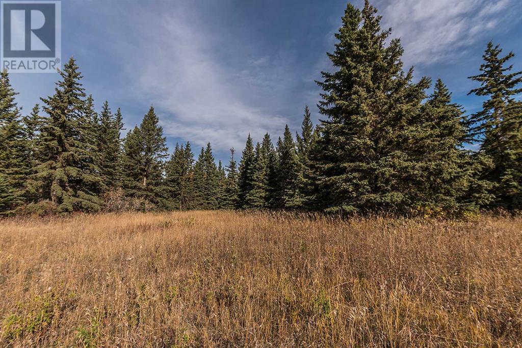 Range Road 12, Rural Red Deer County, Alberta  T4G 0M9 - Photo 10 - A2213739