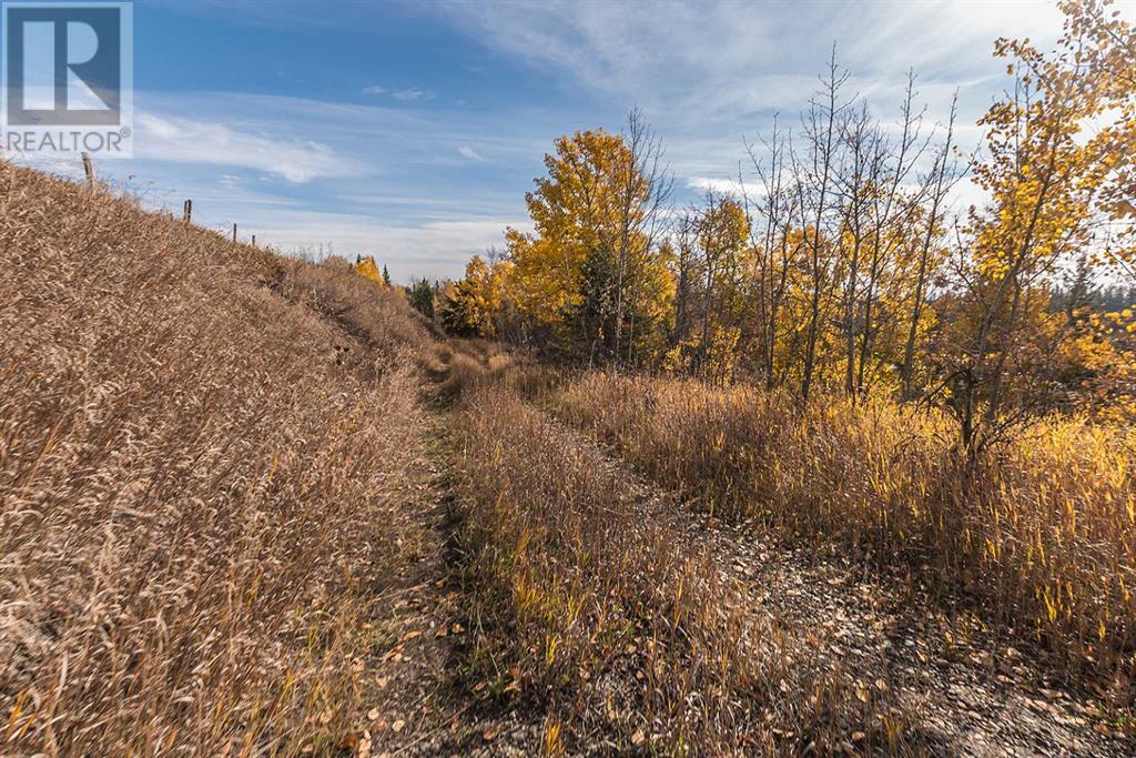 Range Road 12, Rural Red Deer County, Alberta  T4G 0M9 - Photo 7 - A2213739
