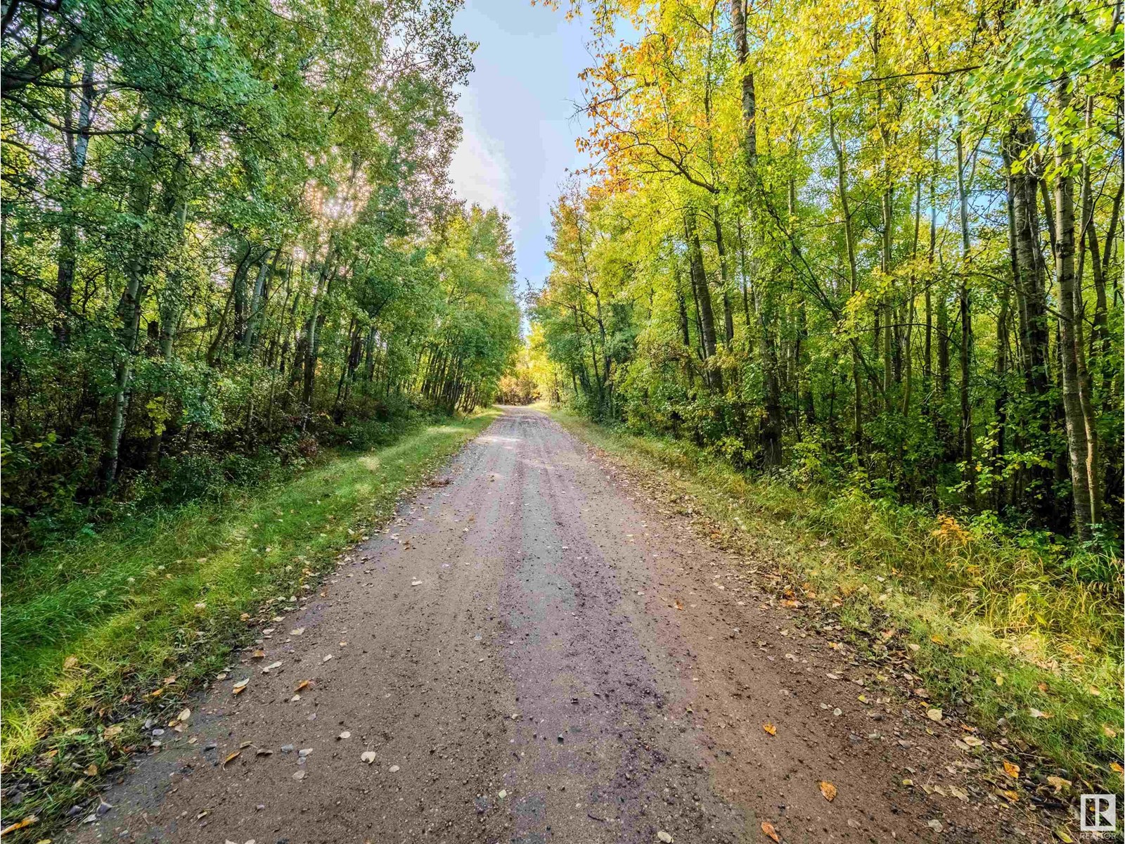52117 Rr 213, Rural Strathcona County, Alberta  T8G 1B5 - Photo 65 - E4432646