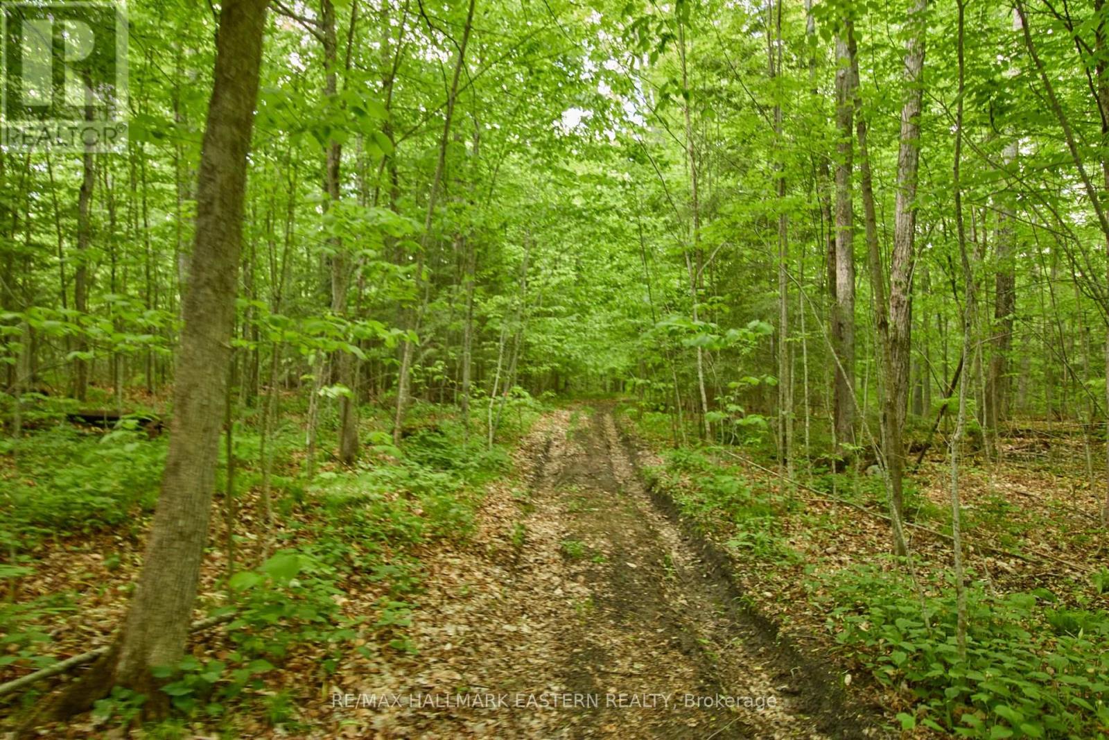 664 Syer Line, Cavan Monaghan, Ontario  K0L 1V0 - Photo 26 - X12099057