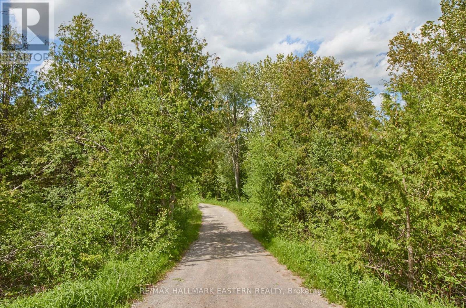 664 Syer Line, Cavan Monaghan, Ontario  K0L 1V0 - Photo 4 - X12099057