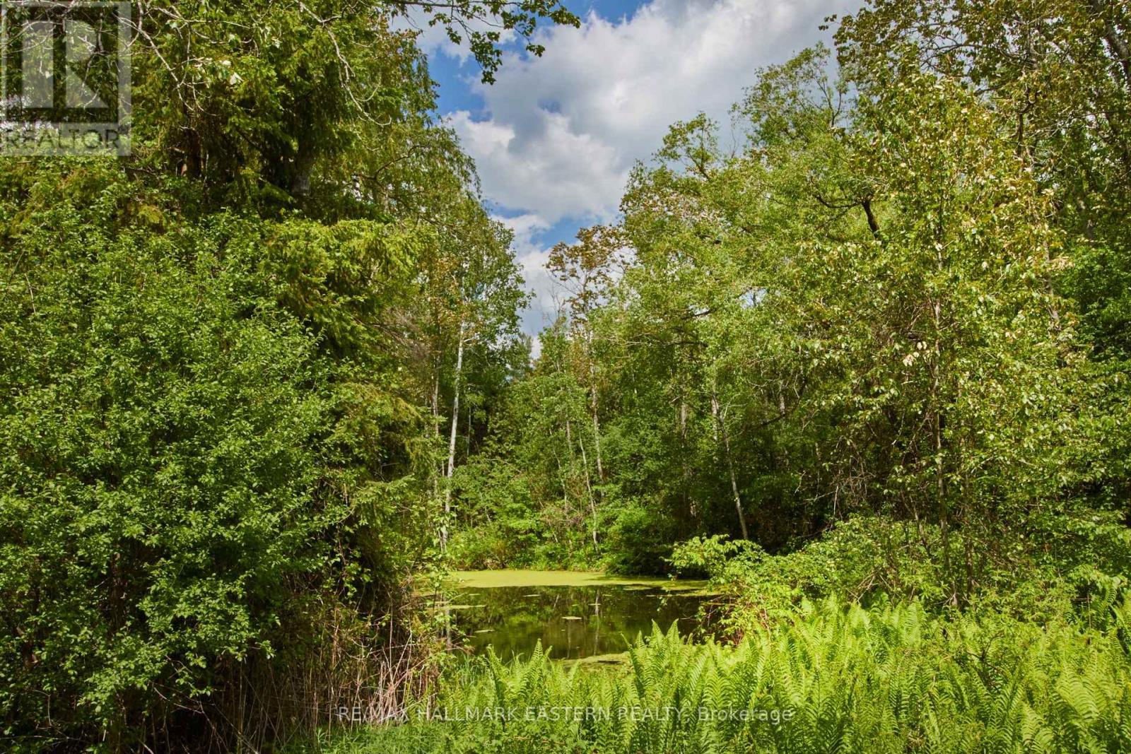 664 Syer Line, Cavan Monaghan, Ontario  K0L 1V0 - Photo 5 - X12099057