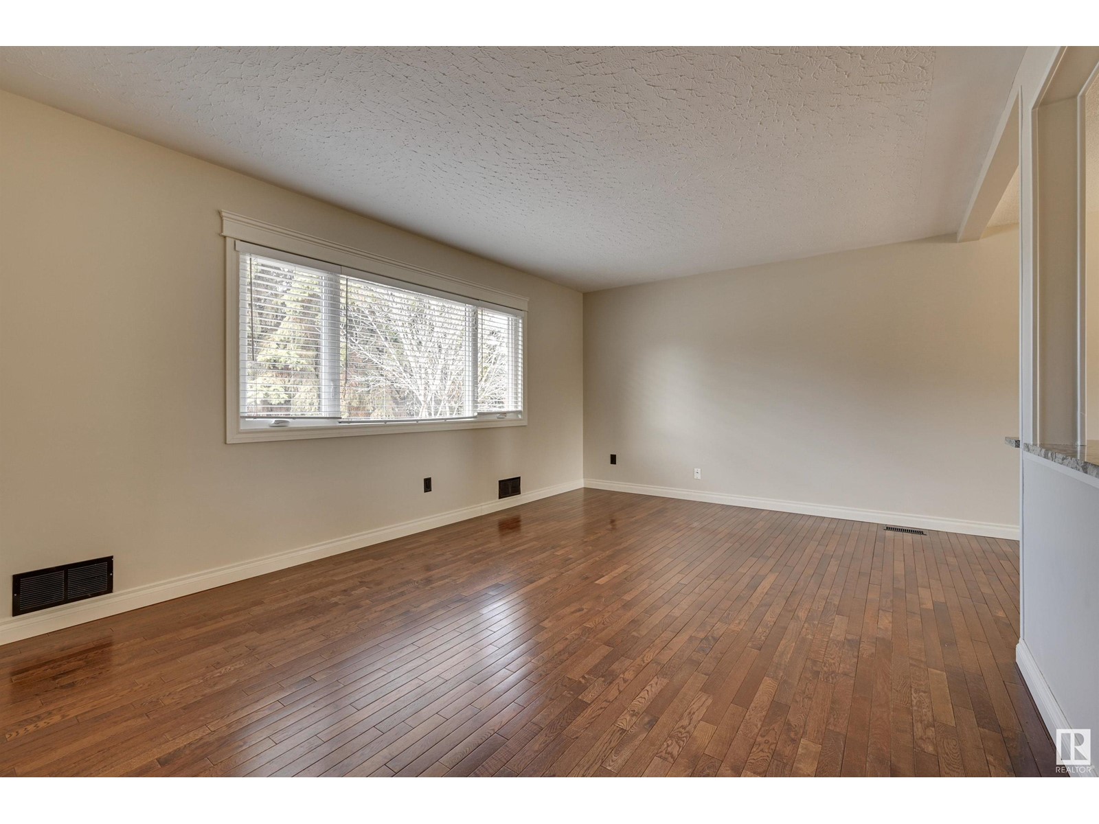 9431 74 St Nw Nw, Edmonton, Alberta  T6B 2B5 - Photo 4 - E4425456