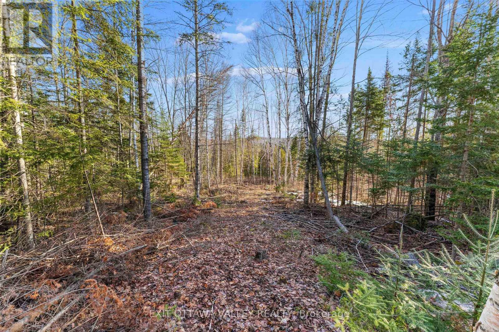 001 Siberia Road S, Madawaska Valley, Ontario  K0J 1B0 - Photo 4 - X12103202