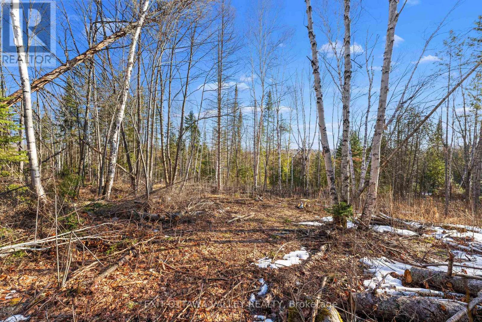 001 Siberia Road S, Madawaska Valley, Ontario  K0J 1B0 - Photo 5 - X12103202